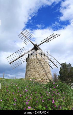 Ancien moulin à vent restauré à Cucugnan, un village dans le département de l'Aude, sud de la France Banque D'Images