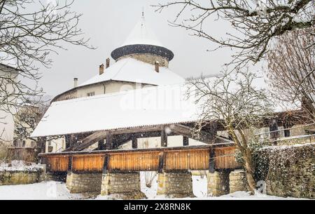 Zwingen, Zwingen BL, Laufental, château à douves, château, Baselland, Baselbiet, point de repère, château à douves Zwingen Banque D'Images
