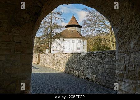 Zwingen, Zwingen BL, Laufental, château à douves, château, Baselland, Baselbiet, point de repère, château à douves Zwingen Banque D'Images