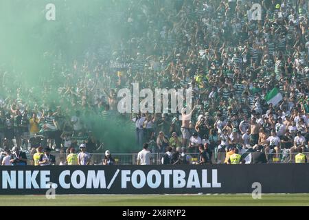 Lisbonne, Portugal. 26 mai 2024. 26 mai 2024. Lisbonne, Portugal. Supporters sportifs lors de la finale de la Coupe portugaise Porto vs Sporting crédit : Alexandre de Sousa/Alamy Live News Banque D'Images