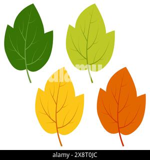 Ensemble de feuilles vertes, jaunes et rouges isolées sur fond blanc. Illustration vectorielle des feuilles d'automne. Illustration de Vecteur