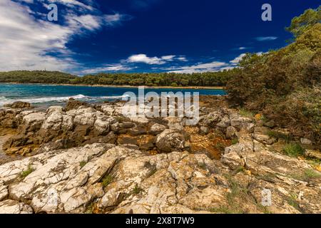 Paysage de la côte croate autour de Rovinj, plages rocheuses, Azur mer Adriatique Istrie Croatie Banque D'Images