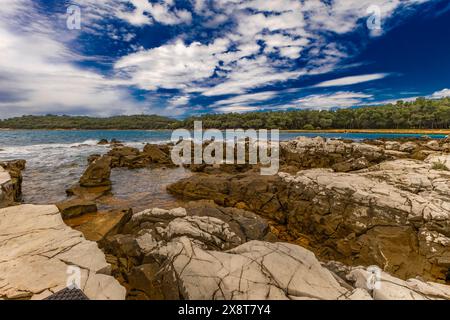 Paysage de la côte croate autour de Rovinj, plages rocheuses, Azur mer Adriatique Istrie Croatie Banque D'Images