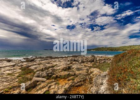 Paysage de la côte croate autour de Rovinj, plages rocheuses, Azur mer Adriatique Istrie Croatie Banque D'Images