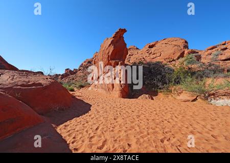 Sagebrush et formations rocheuses rouges dans les grès du Valley of Fire State Park sur le sentier Mouse's Tank près d'Overton, Nevada contre un bleu vif Banque D'Images