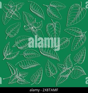 Menthe laisse le fond. Feuille dessinée à la main différente, dessin de style croquis, menthe poivrée et menthe verte. Toile de fond verte. Conception d'emballage de thé et de dentifrice Illustration de Vecteur