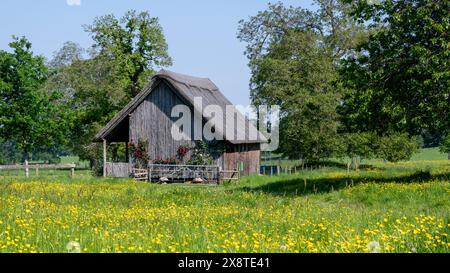 Vieux pavillon de cricket en bois au toit de chaume, Stanway, Gloucestershire Banque D'Images