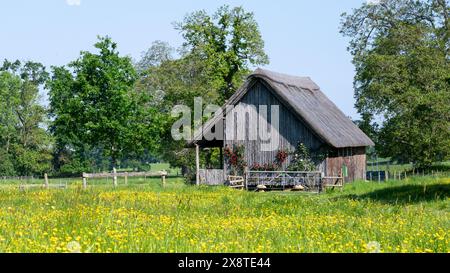 Vieux pavillon de cricket en bois au toit de chaume, Stanway, Gloucestershire Banque D'Images