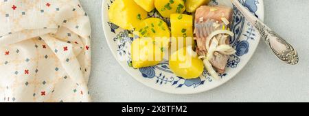 Délicieux dîners de poisson copieux, pommes de terre bouillies avec hareng mariné, vue de dessus, bannière Banque D'Images