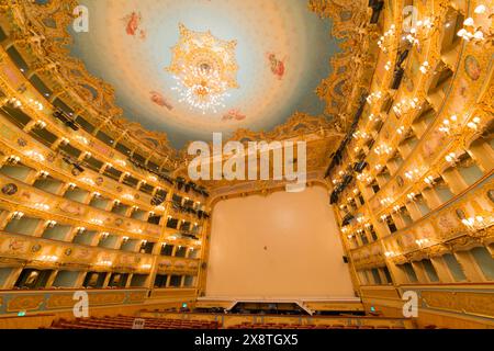 Magnifique Grand Théâtre la Fenice à Venise, Vénétie, Italie Banque D'Images