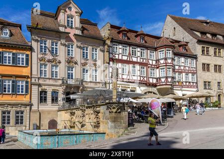 Maisons Renaissance et à colombages avec fontaine de poissons sur la place du marché, dans la vieille ville historique, Schwaebisch Hall, Franconie Banque D'Images