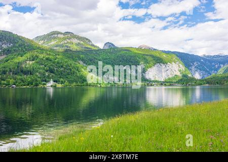 Lac Grundlsee, prairie fleurie, Villa Roth Schloss Château de Grundlsee, montagne Totes Gebirge Grundlsee Ausseerland-Salzkammergut Steiermark, Styri Banque D'Images