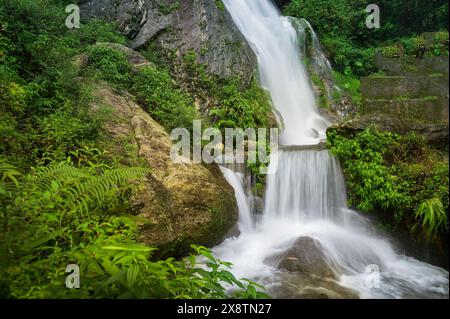 Belle cascade de Paglajhora sur Kurseong, montagnes himalayennes de Darjeeling, Bengale occidental, Inde. Origine de la rivière Mahananda. Banque D'Images