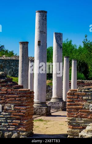 De hautes colonnes blanches se dressent au milieu d'anciennes ruines de briques à Felix Romuliana, en Serbie, avec des arbres verts en arrière-plan et un ciel bleu clair au-dessus de lui Banque D'Images