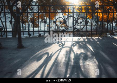 Plan artistique de balustrades complexes en fer forgé projetant des ombres sur le sol, avec la lumière dorée filtrant à travers les arbres en arrière-plan. IDE Banque D'Images