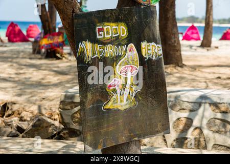 Bars de plage faisant la publicité de la vente de 'champignons magiques' hallucinogènes sur l'île de Gili Trawangan en Indonésie Banque D'Images