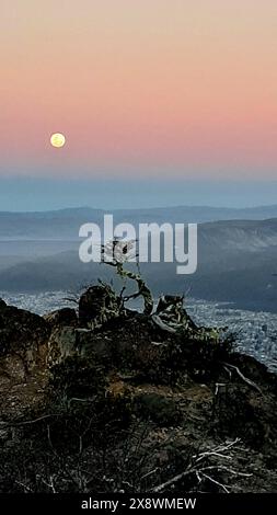 Pleine lune se levant au-dessus d'un paysage avec des montagnes lointaines, un ciel coloré dégradé, et un arbre unique au premier plan Banque D'Images