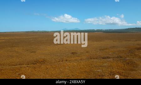 Drone volant au-dessus de prairie jaune pendant la journée d'été. Agrafe. Vallée sans fin sur un fond de ciel nuageux bleu. Banque D'Images