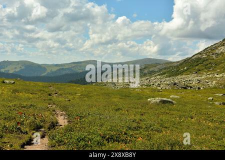 Un étroit sentier de randonnée traverse une large vallée dans les montagnes par une claire journée d'été. Parc naturel Ergaki, région de Krasnoïarsk, Sibérie, Russie. Banque D'Images