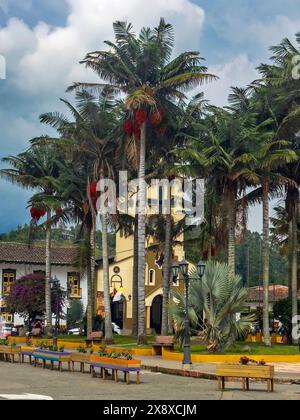 Quindio Wax Palms (Ceroxylon quindiuense) les mondes les plus hauts et Nuestro Carmen Senora Eglise ou notre Dame de Carmen Eglise catholique sur la place principale Banque D'Images