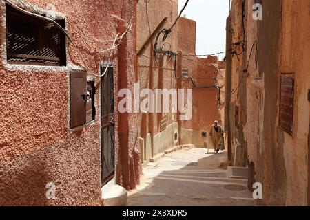 Architectures mozabites traditionnelles à l'intérieur de Ksar Beni Isguen. Beni Isguen est l'un des 5 Ksars (colonie fortifiée) de la vallée du Mzab. Province de Ghardaia. Sahara du Nord. Algérie Banque D'Images