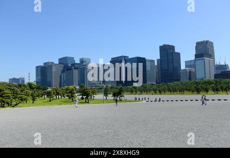 Le jardin national Kokyo Gaien près du Palais impérial avec la ligne d'horizon moderne des quartiers d'affaires de Marunouchi à Tokyo, Japon. Banque D'Images