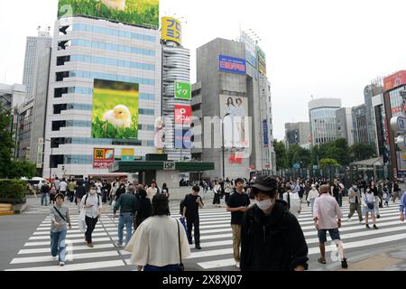 Piétons traversant la rue à Ikebukuro, Tokyo, Japon. Banque D'Images