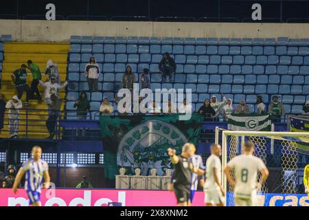 Florianopolis, Brésil. 28 mai 2024. SC - FLORIANOPOLIS - 05/27/2024 - BRASILEIRO B 2024, AVAI x GOIAS - les fans de Goias lors d'un match contre Avai au stade Ressacada pour le championnat brésilien B 2024. Photo : Luis Felipe Amorin/AGIF (photo : Luis Felipe Amorin/AGIF/Sipa USA) crédit : Sipa USA/Alamy Live News Banque D'Images