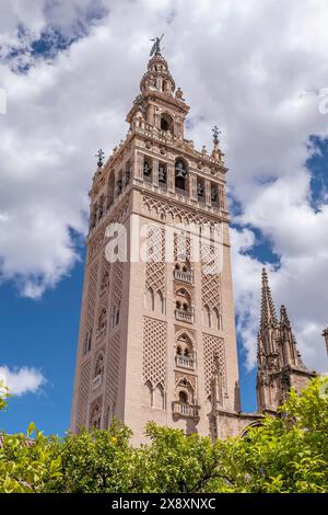 La tour Giralda se dresse sur le patio des orangers, cathédrale de Séville, Espagne Banque D'Images