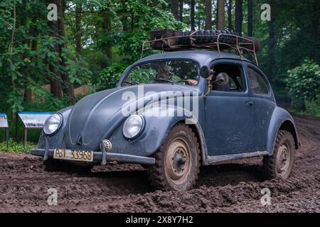 © Arnaud BEINAT/Maxppp. 2024/05/26, Overloon, Hollande. Volkswagen. Militracks est une concentration annuelle de véhicules de collection allemands de la seconde guerre mondiale. Moyennant le prix d'un billet, le public peut embarquer et faire des tours de terrain. ANGLAIS : Volkswagen. Militracks est un rassemblement annuel de véhicules allemands de la seconde Guerre mondiale. Le public peut payer pour monter à bord des véhicules. Crédit : MAXPPP/Alamy Live News Banque D'Images