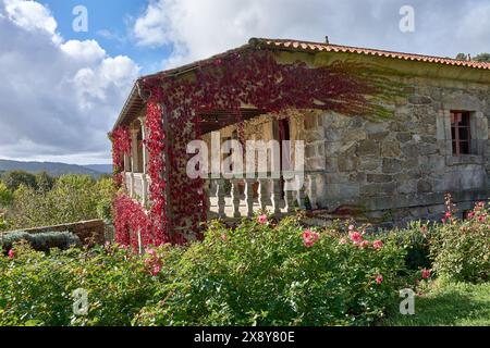 Charmante vieille maison en pierre avec balcon couvert de lierre rouge, entourée d'une verdure luxuriante dans un cadre de campagne tranquille Banque D'Images