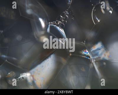 Fond de texture abstrait de bulles de mousse de savon blanc. Texture bulle isolée sur fond noir pour la composition. Gros plan. Banque D'Images