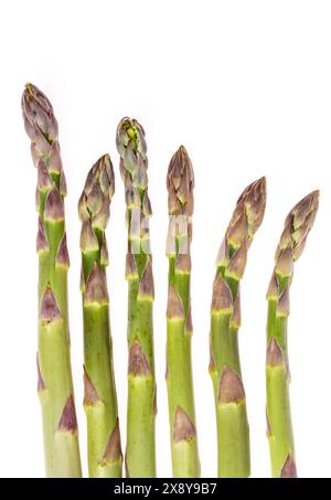 Pointes d'asperges vertes sur fond blanc Banque D'Images