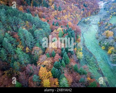 France, Drôme, Drôme Provençale, Saou, hubac de la forêt de Saou intégré au réseau Natura 2000 (vue aérienne) Banque D'Images