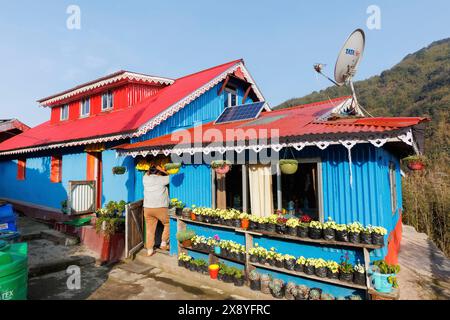 Népal, Himalaya, Parc National de Singalila, village de Gairibas coupé en deux par la frontière Népal-Inde, route de trekking Homestays, Banque D'Images