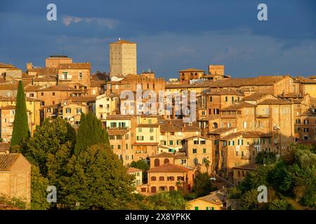 Italie, Toscane, Sienne, centre historique classé au patrimoine mondial de l'UNESCO, la vieille ville Banque D'Images