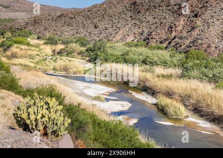 Le paysage étonnant du Big Bend Ranch State Park et de la rivière Rio Grande, Texas Banque D'Images