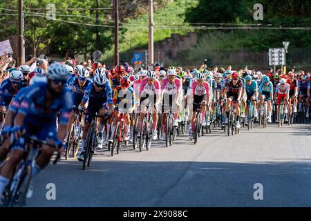 Rome, Italie. 26 mai 2024. Les cyclistes s'affrontent lors du 107e Giro d'Italia 2024, étape 21, Roma-Roma de 125 km de long. Tadej Pogacar (UAE Team Emirates) a remporté le 107ème Giro d'Italia, portant la dernière Maglia Rosa du leader du classement général. Daniel Felipe Martinez (Bora ñ Hansgrohe) et Geraint Thomas (Ineos Grenadiers) ont terminé deuxième et troisième. Tim Merlier (Soudal Quick-Step) a remporté l'étape 21, le Roma-Roma de 125 km de long. Crédit : SOPA images Limited/Alamy Live News Banque D'Images