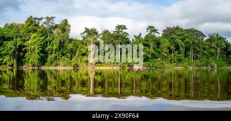 Scène sur la rive du Suriname Banque D'Images