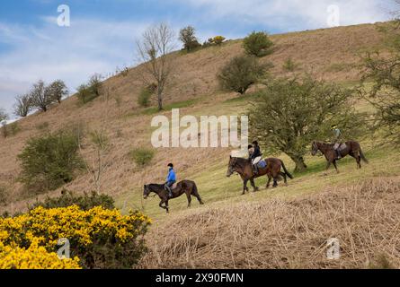 Trekking à poney sur la colline Cockit, Black Mountains, pays de Galles, Royaume-Uni Banque D'Images