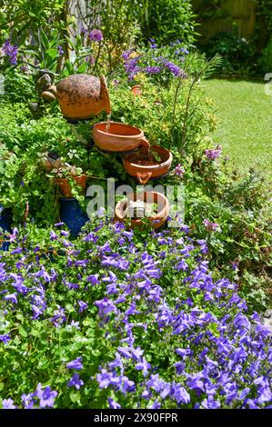 Petite pièce d'eau alimentée par énergie solaire dans un jardin urbain avec des clochettes campanula bleues au premier plan crédit Simon Dack Banque D'Images