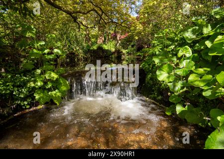 Une journée de printemps au jardin japonais de l'abbaye de Newstead, Nottinghamshire Angleterre Royaume-Uni Banque D'Images