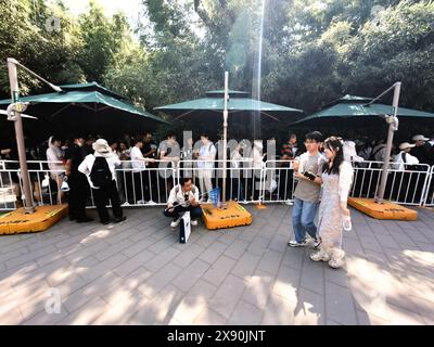 Pékin, Chine. 28 mai 2024. Les touristes font la queue pour regarder un panda géant manger du bambou à la Maison du panda géant du zoo de Pékin, en Chine, le 28 mai 2024. (Photo de Costfoto/NurPhoto) crédit : NurPhoto SRL/Alamy Live News Banque D'Images