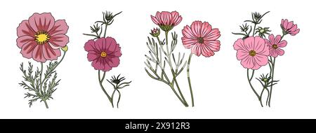 Ensemble de Cosmos, mois de naissance d'octobre fleurs clipart Illustration de Vecteur