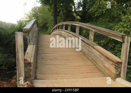 Pont piétonnier en bois courbé au-dessus d'un ruisseau aux États-Unis Banque D'Images