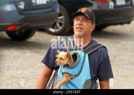 Homme avec petit chien dans un porteur Banque D'Images