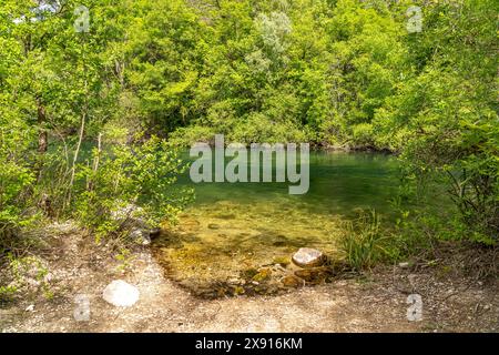 Der Fluss Cetina in der Cetina Schlucht BEI omis, Kroatien, Europa | la rivière Cetina dans le canyon de Cetina près de omis, Croatie, Europe Banque D'Images