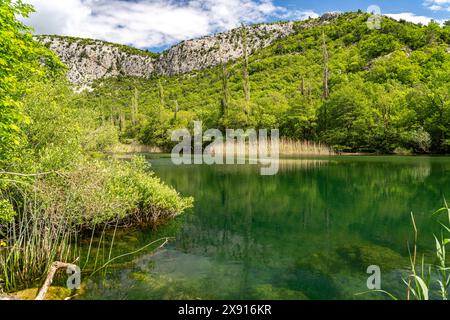 Der Fluss Cetina in der Cetina Schlucht BEI omis, Kroatien, Europa | la rivière Cetina dans le canyon de Cetina près de omis, Croatie, Europe Banque D'Images