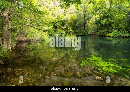 Cetina Fluss Der Fluss Cetina in der Cetina Schlucht BEI omis, Kroatien, Europa la rivière Cetina dans le canyon de Cetina près d'omis, Croatie, Europe *** C Banque D'Images
