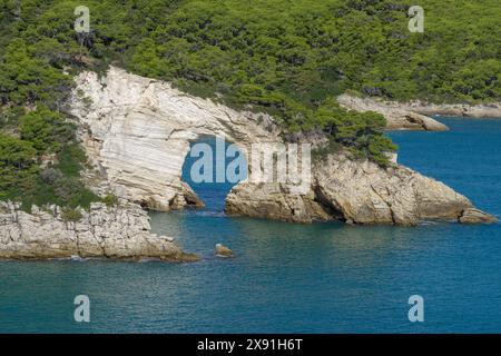 Architiello rocher, baie de San Felice, côte entre Mattinata et Vieste, Parc National du Gargano, Pouilles, Italie Banque D'Images